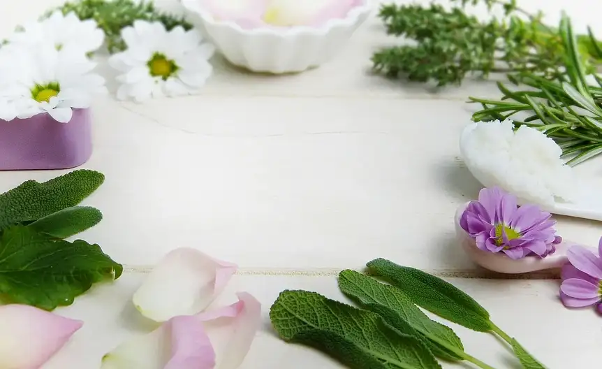 Zaskorniki zamkniete