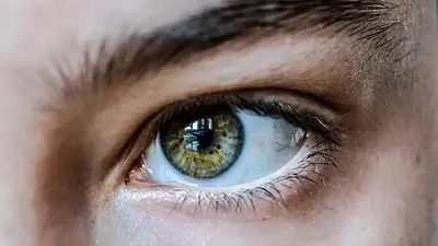 Kolory cieni do zielonych oczu – jak podkreślić wyjątkowy od